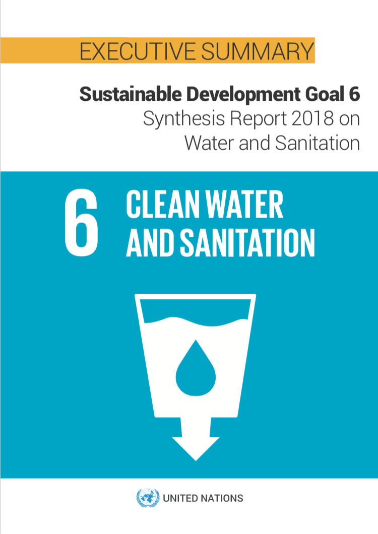 SDG 11 Synthesis Report