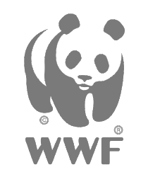 World Wide Fund For Nature