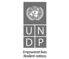 UN Development Programme