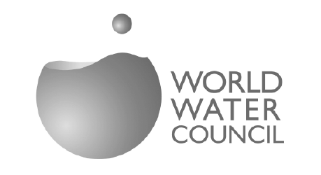 World Water Council