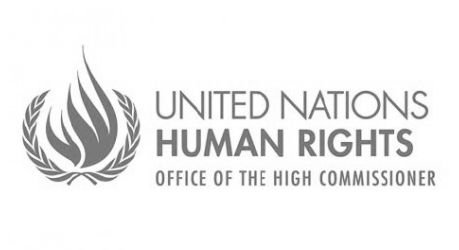 Office of the United Nations High Commissioner for Human Rights