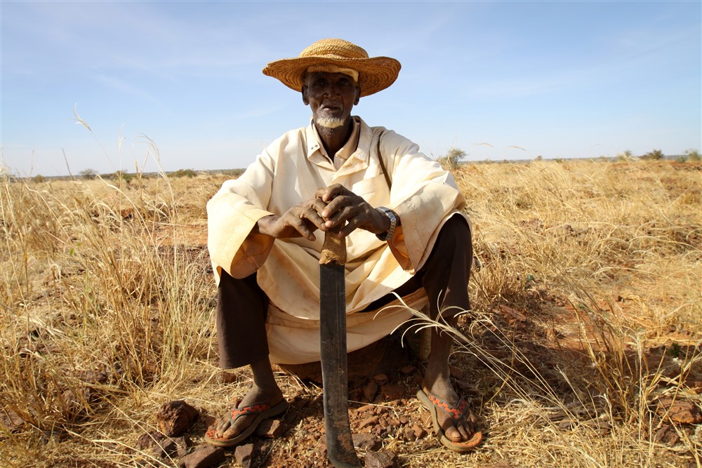 Drought in Niger in 2011. Photo: WFP/Phil Behan