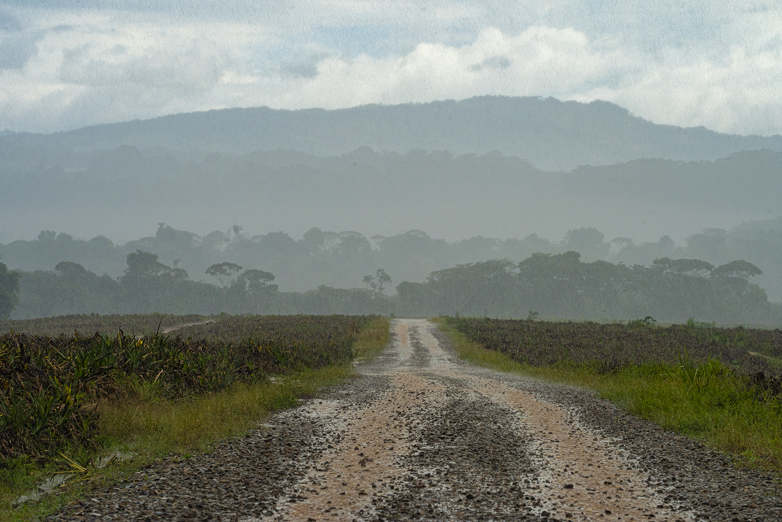 UNDP Costa Rica