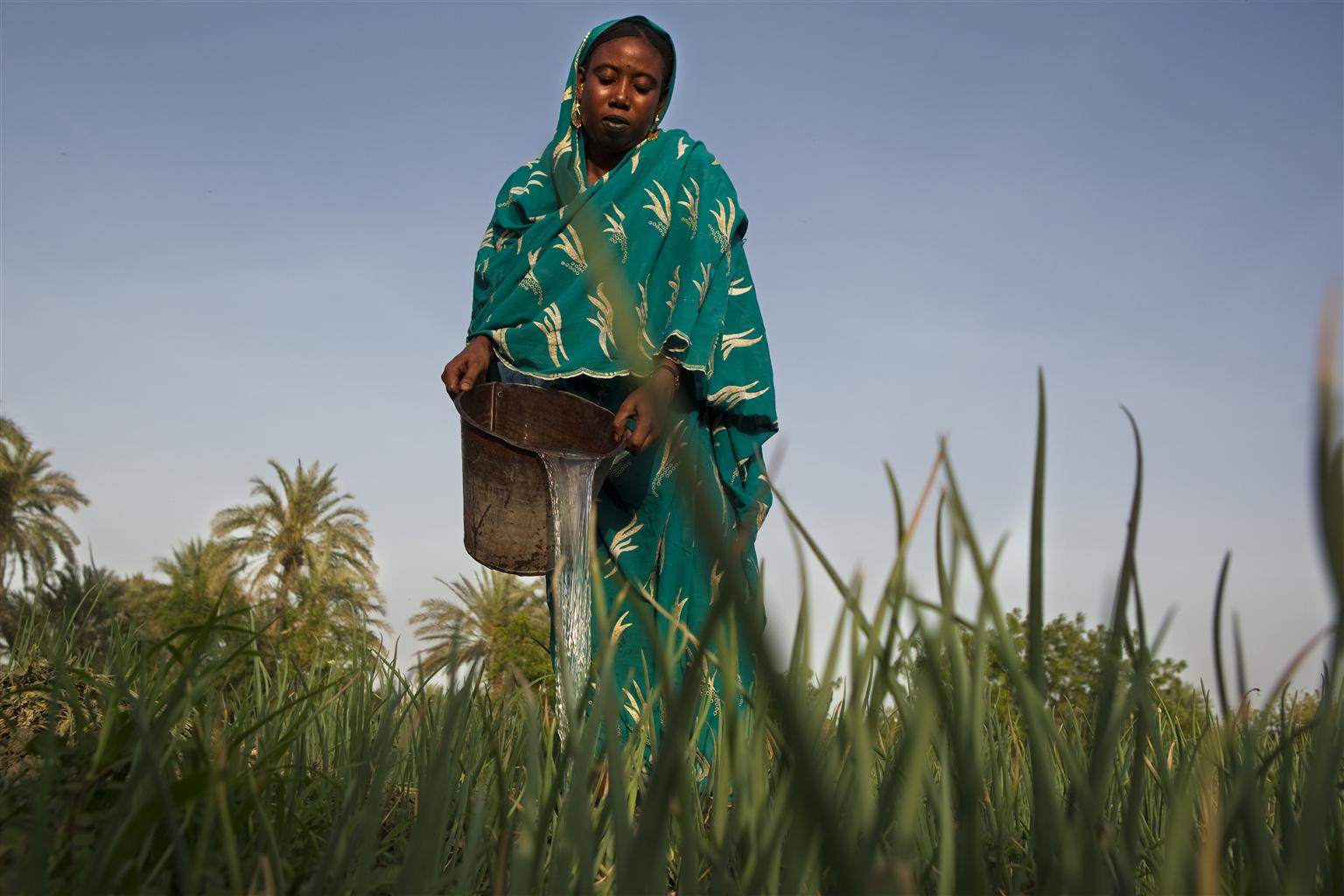 Demand for water, food and energy is increasing.
