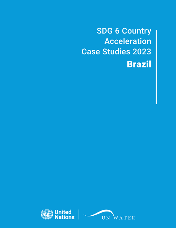 Country Acceleration Case Study Cover Brazil