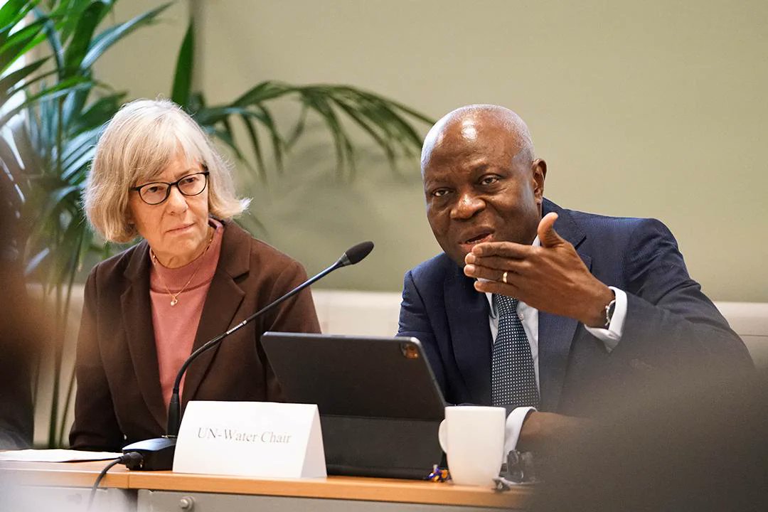 Eva Lövgren, SIDA Deputy Director of International Organizations and Policy Support, and Gilbert Houngbo, UN-Water Chair