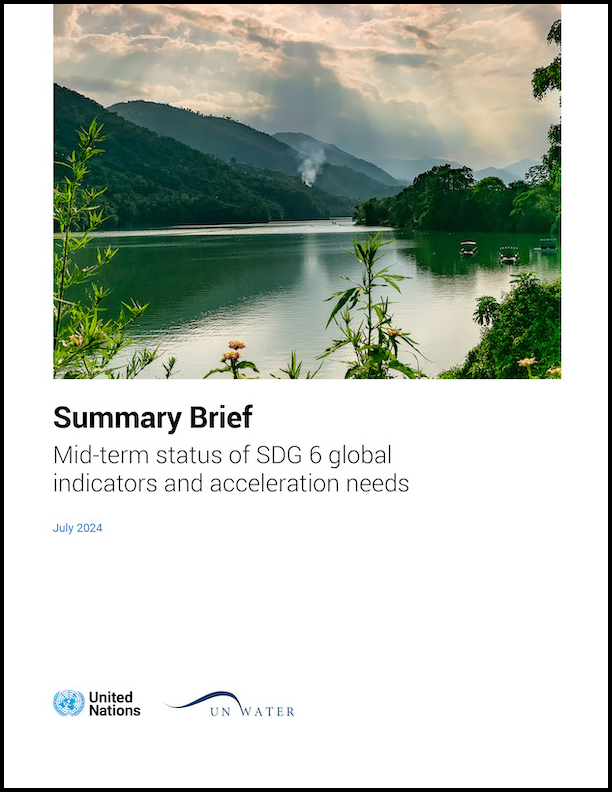 Summary Brief Cover