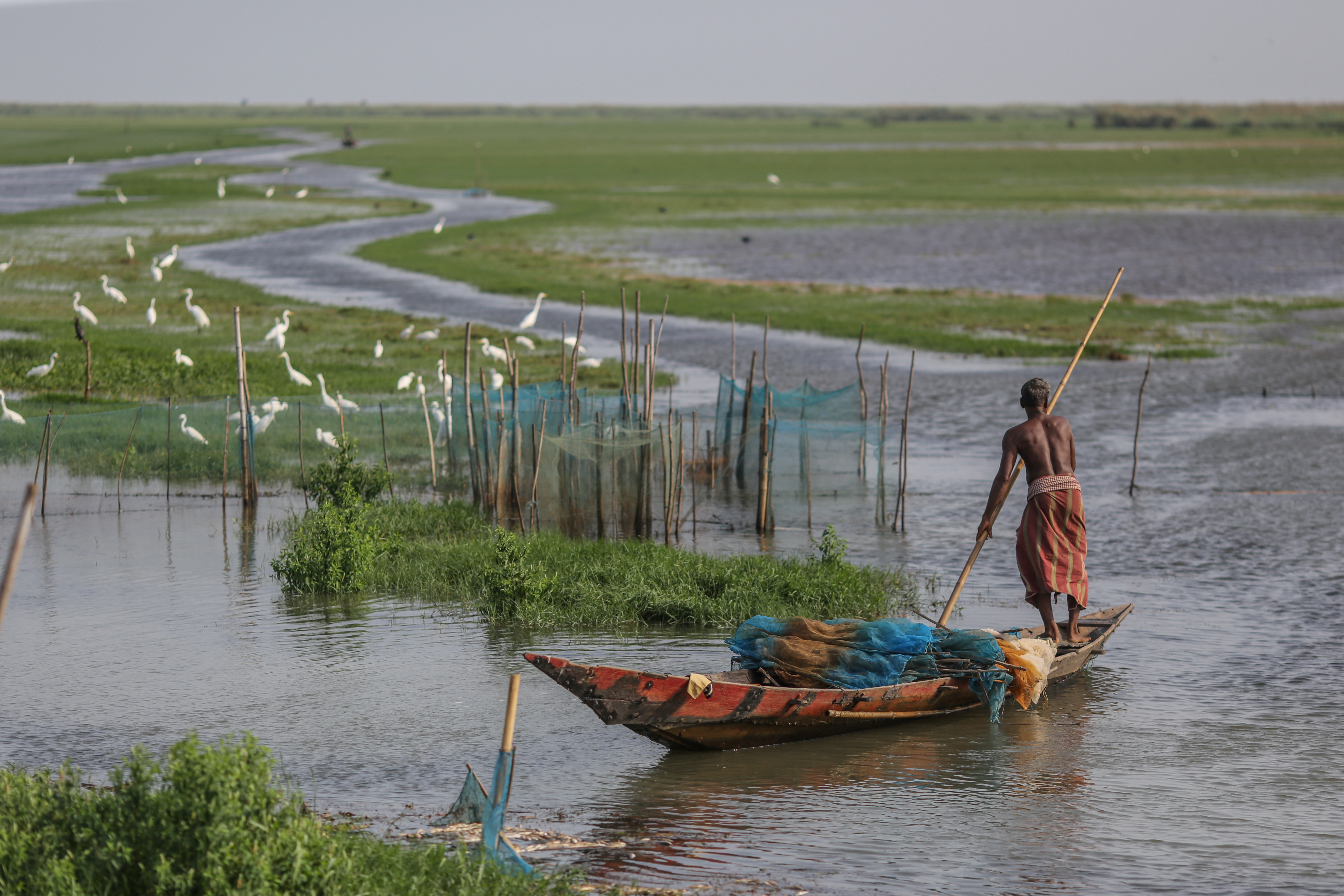 Fisherman in wetland in boat