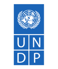 100x120_members_UNDP 100x120_members_UNDP