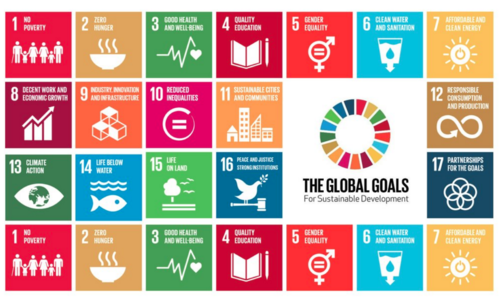 Making The Sustainable Development Goals Known To All Un Water