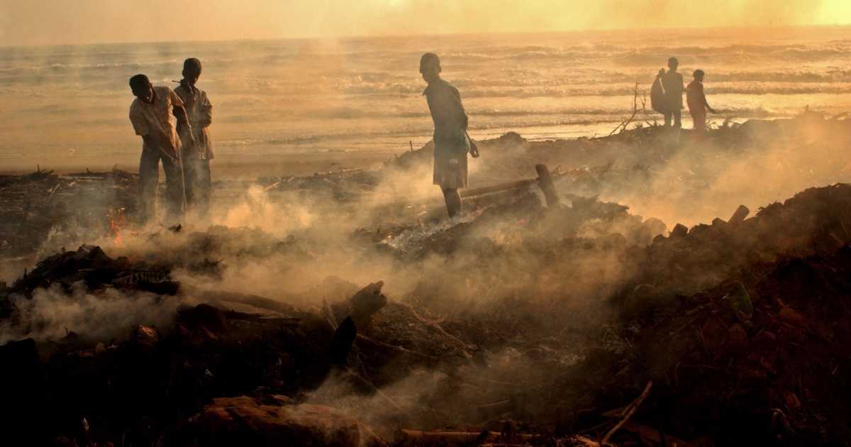 The impact of disasters and crises on agriculture and food security